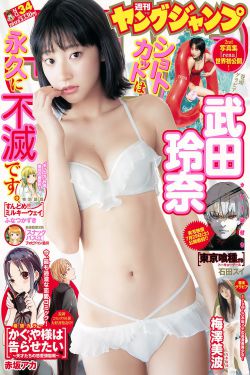 警中警